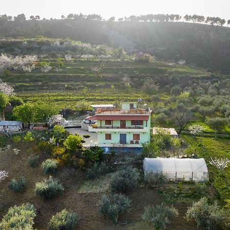 Vila Dean Berat Esterno foto