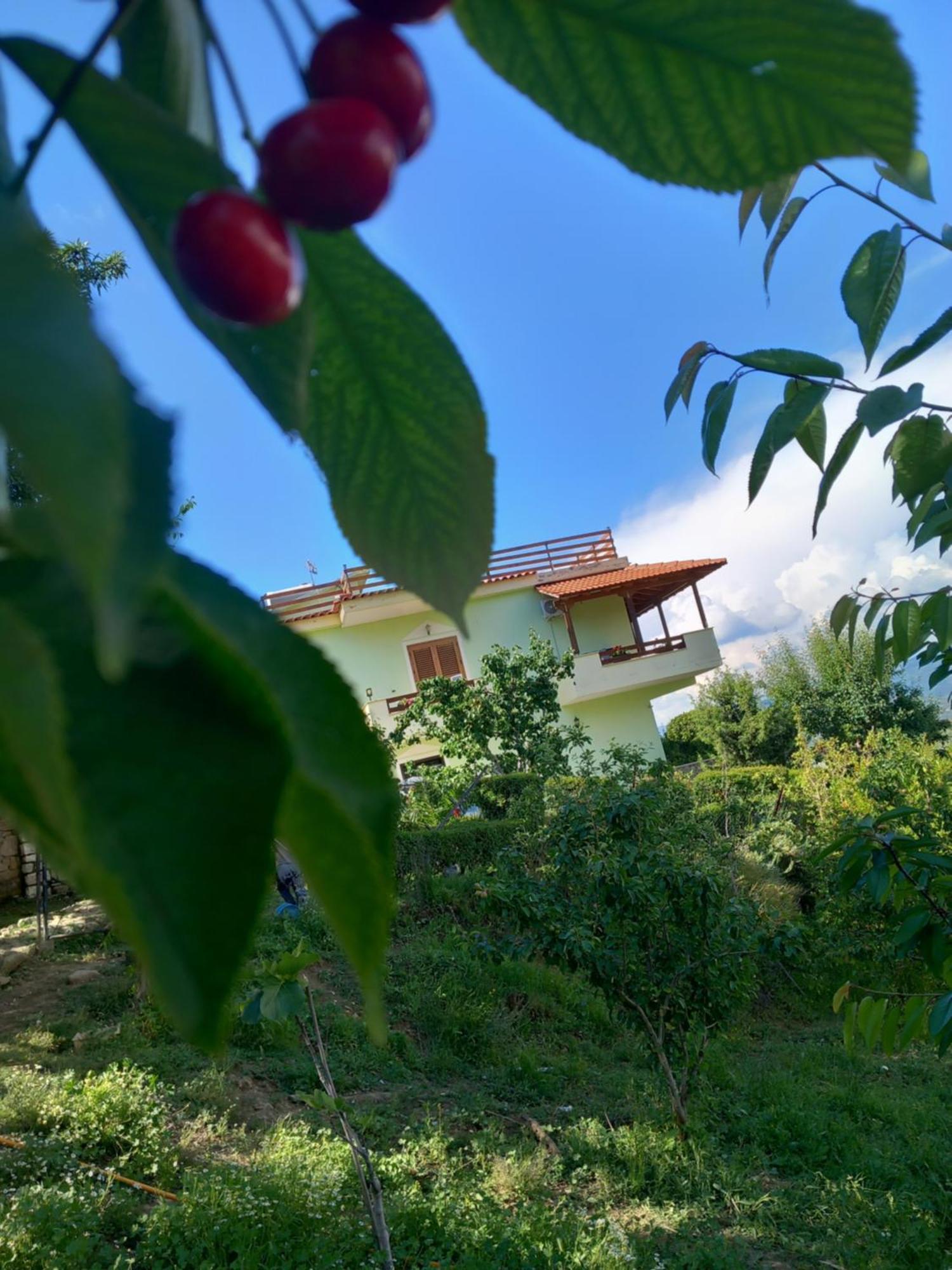 Vila Dean Berat Esterno foto